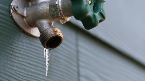 Best Plumbing Repair Near Me  in Citrus Springs, FL