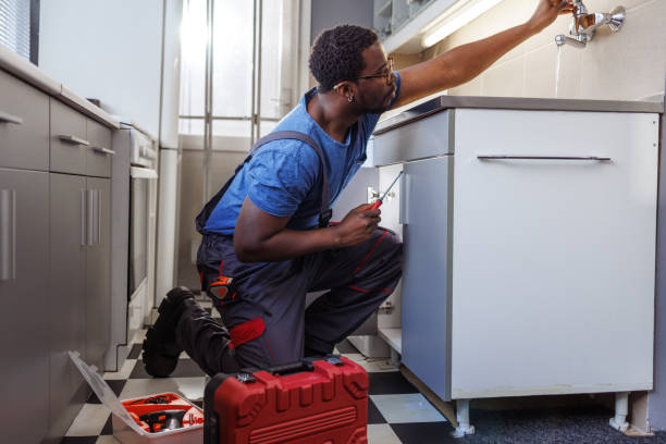 Best Best Plumbers Near Me  in Citrus Springs, FL
